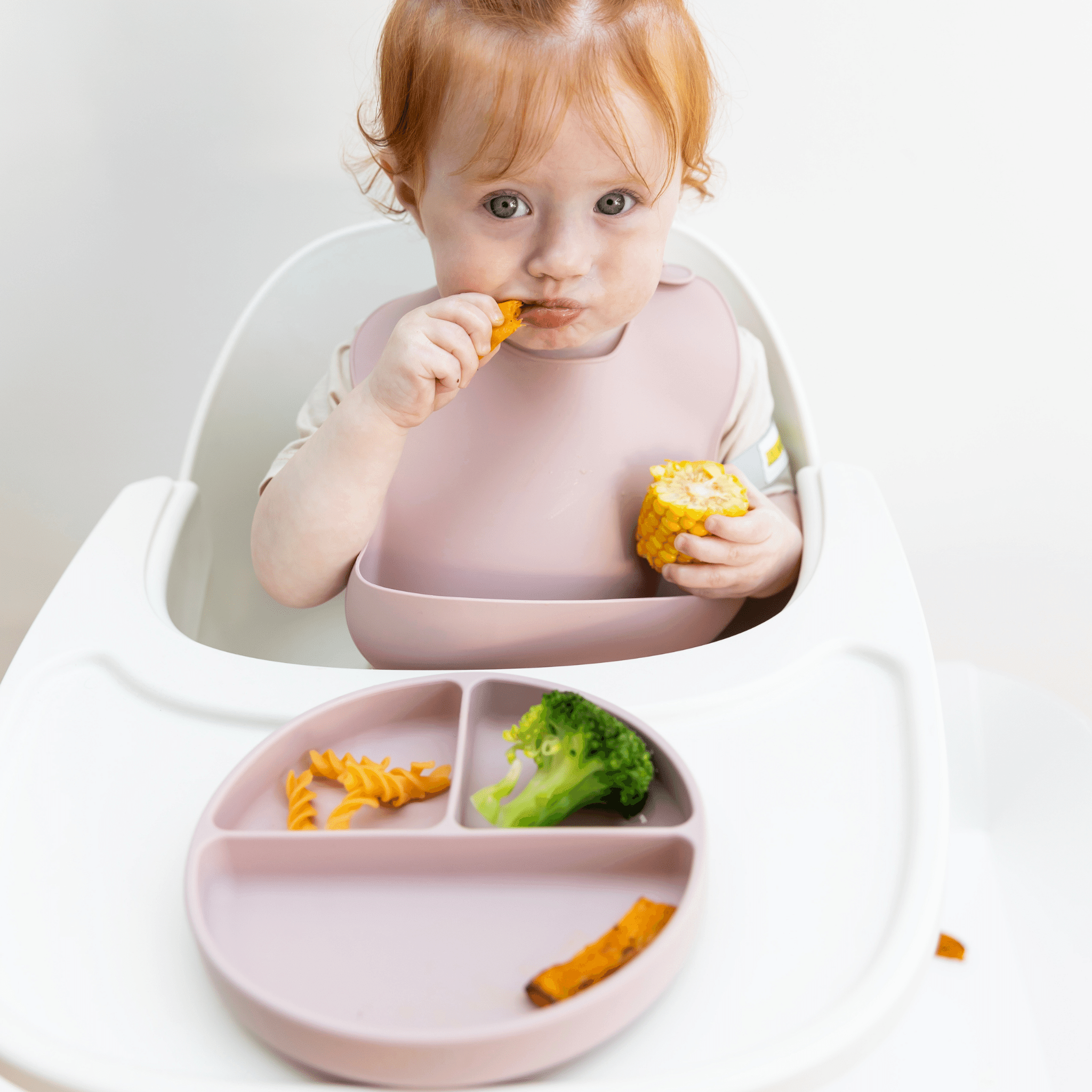 Silicone Suction Divider Plate - Catchy